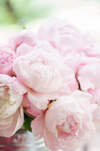 可爱的花在玻璃花瓶里。美丽的粉红色牡丹花束。花卉组合, 场景, 日光。壁纸