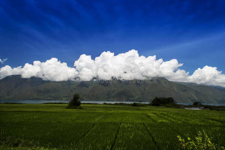 萨莫西尔岛乡村景观。