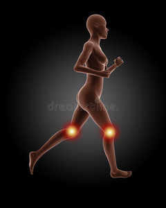 奔跑的女性医学骨骼