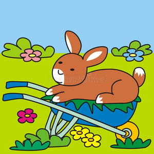 兔子和手推车