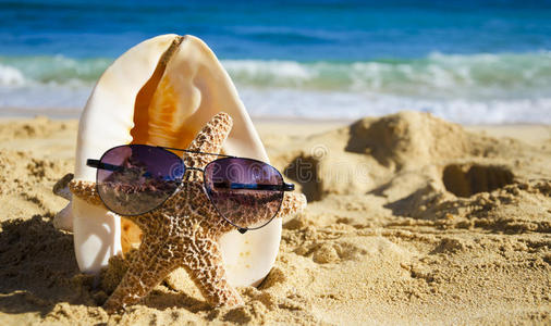 沙滩上戴墨镜的海贝和海星