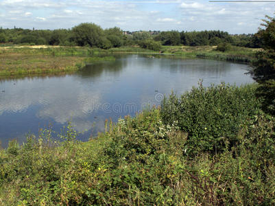 sandwell valley rspb保护区