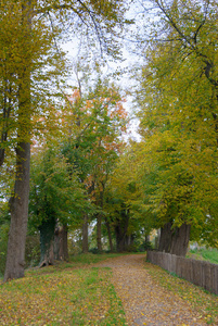 漫步在秋色灿烂的公园里