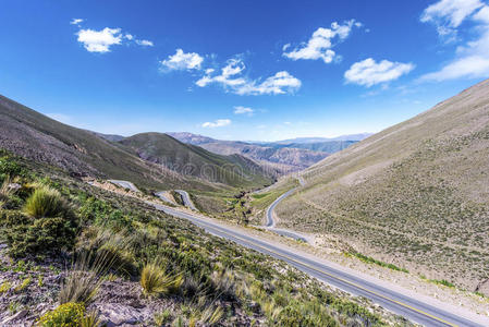 阿根廷jujuy，quebrada de humahuaca，potrerillo。