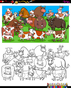 奶牛和公牛的卡通插图农场动物字符组着色书活动