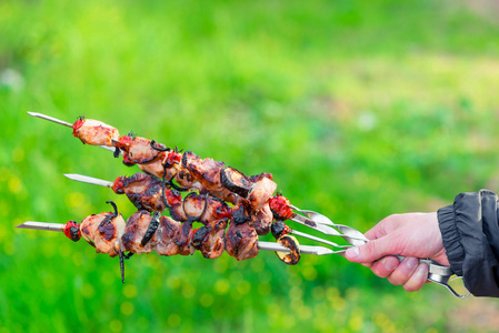 香煎猪肉羊肉串串在绿草背景上