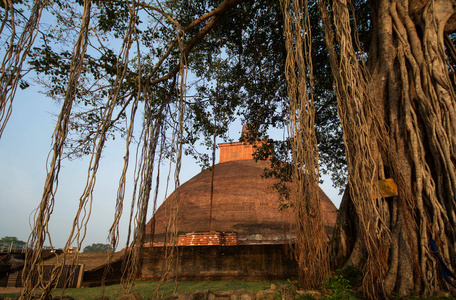 Abhayagiri 舍利塔，斯里兰卡，亚洲