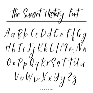 手绘矢量字母表。为您设计的书法字母