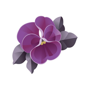 紫花矢量水彩插图