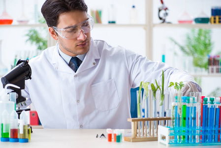 在植物实验室工作的男性生物化学家