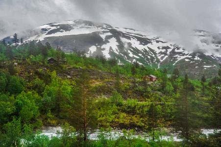 挪威，绿色的小山和山的风景美丽的山水风光景色部分覆盖着雪