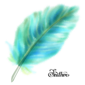 蓝色和绿色的蓬松羽毛