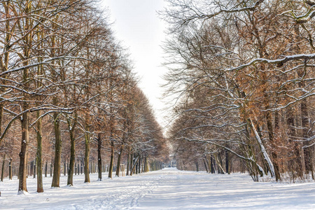 冬季景观公园