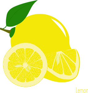 柠檬切片，矢量插图在透明背景上的集合