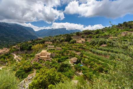 Fornalutx历史村庄在马略卡岛的山, 西班牙