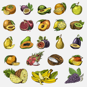 手定，刻的新鲜水果，素食食品，植物 老式橙和苹果，与椰子 gragonfruit 梨 桃 葡萄梅花