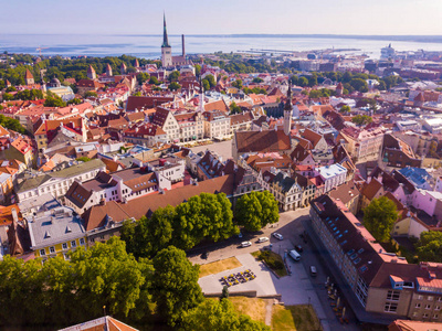 壮观的空中地平线塔林市政厅广场与老市场广场, 爱沙尼亚。在爱沙尼亚美丽的老中世纪小镇