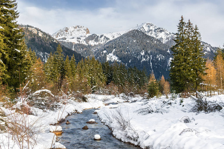 从河谷之间毛巾的浴室和 Val di Fassa Campitello TrentinoAltoAdige 地区，意大利多洛