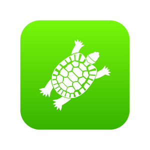 龟图标数字绿色