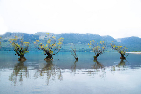 新西兰南部海岛浅水 Glenorchy 的著名