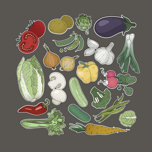 手绘的蔬菜的集合