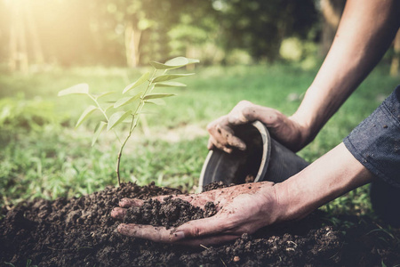 年轻人在花园里植树作为地球日, 拯救世界概念自然环境和生态