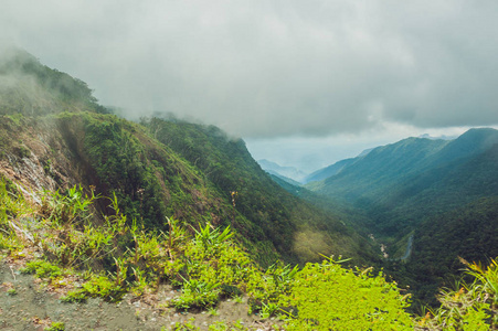 大叻山的奇妙的风景