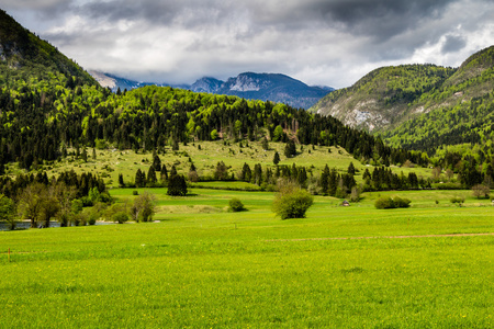 美丽的景色的 Triglav 国家公园，斯洛文尼亚