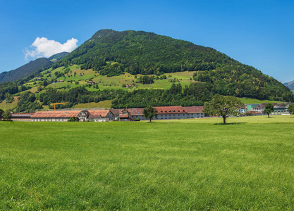 Schwyz 瑞士小行政区的夏日美景