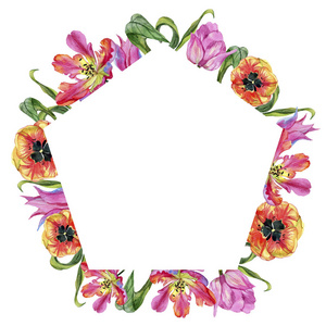 五颜六色的夏日郁金香。花卉植物花。框边框装饰广场。背景质地包装图案框架或边框的水彩画野花