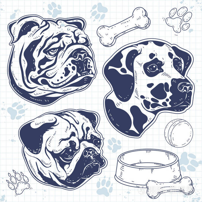 集装饰犬画剪影狗头斗牛犬帕格达尔马提亚