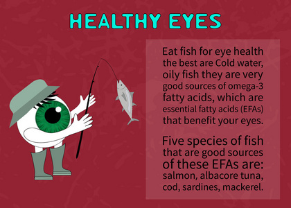 关于鱼的视力的好处的信息图片