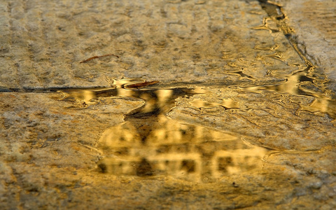 图为湿滑路面上的金色倒影图片