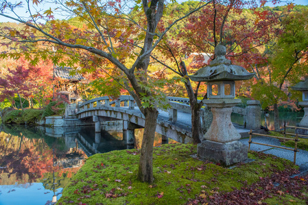 秋叶在 Eikando 寺