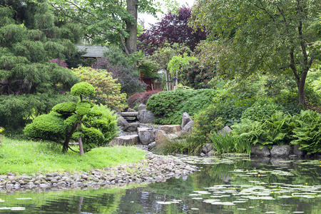 日本花园，异国情调的植物，弗罗茨瓦夫，波兰