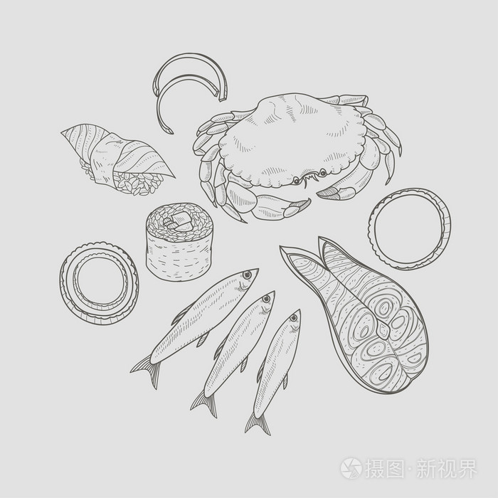 不同的海鲜线描集