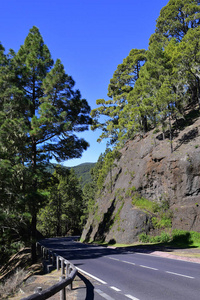 西班牙, 加那利群岛, 特内里费岛, 山区公路之间的岩石和松树