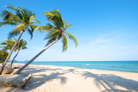 夏季在热带海滩 海景 的椰子棕榈树美丽的风景。暑期背景概念