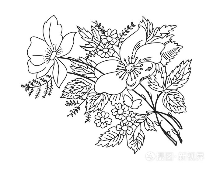 轮廓绘图花树枝黑白效果