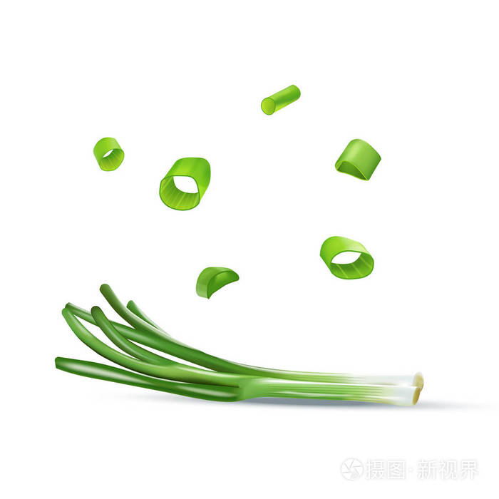 矢量现实色彩丰富的插画的葱