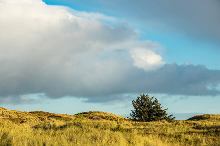 沙丘上岛 Amrum，德国的北海