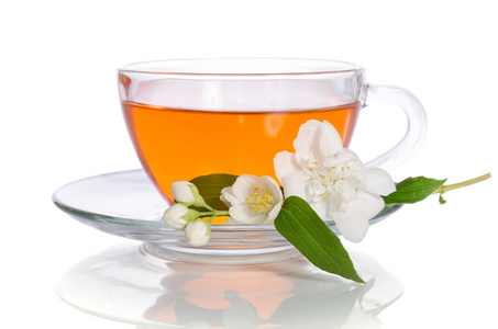 玻璃杯茶，茉莉花在白色的背景
