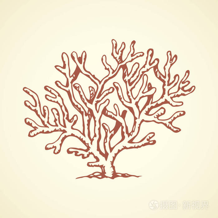 珊瑚.矢量绘图