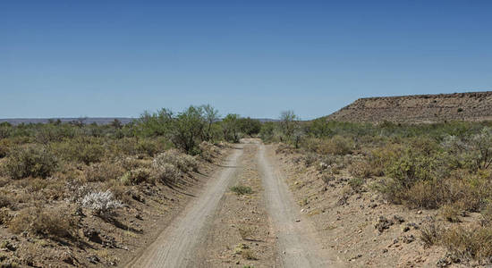 沙漠中的地面公路伸展到地平线上的蓝天背景下, 南部非洲稀树草原