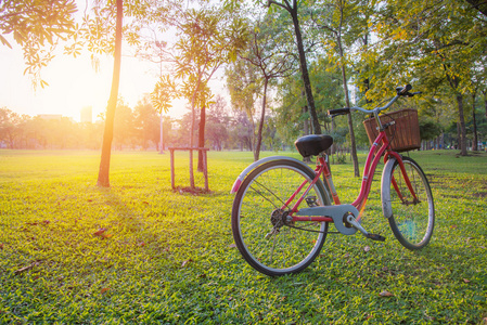 在园林绿化中的红色自行车图片