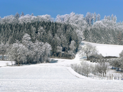 冬季景观与森林和字段