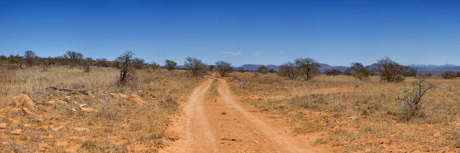 南非稀树草原东部沙漠的地面公路