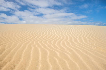 富埃特文图拉岛民沙漠中的自然沙子和沙丘。没有人 waolk 那里。惊人的地方发现
