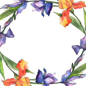 五颜六色的虹膜。花卉植物花。框边框装饰广场。背景质地包装图案框架或边框的水彩画野花