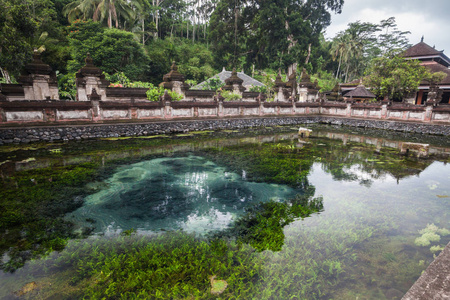 泉水 Empul 圣水，巴厘岛